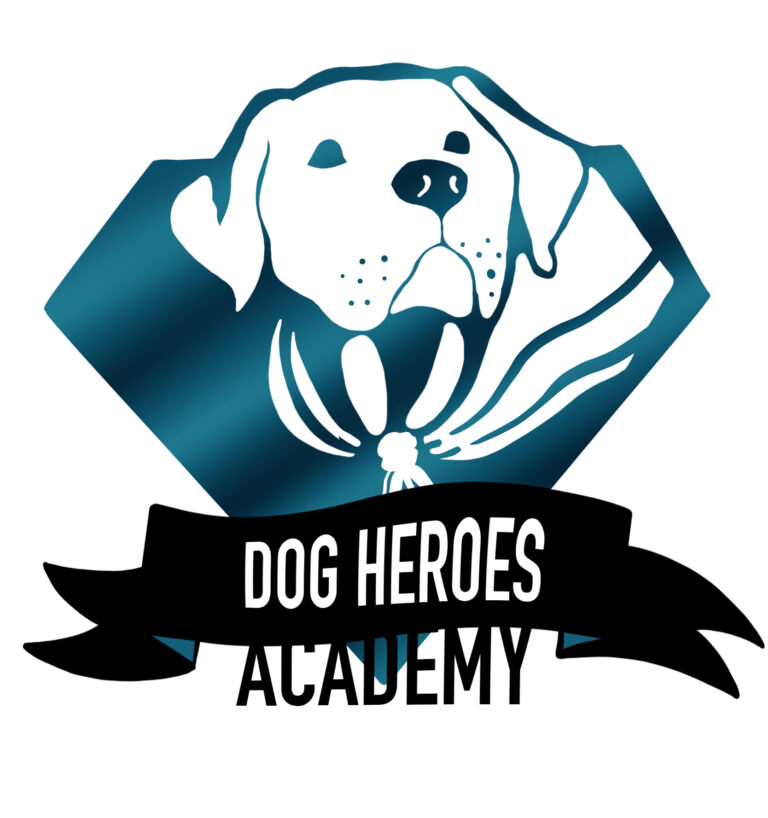 DOG HEROES ACADEMYjpg